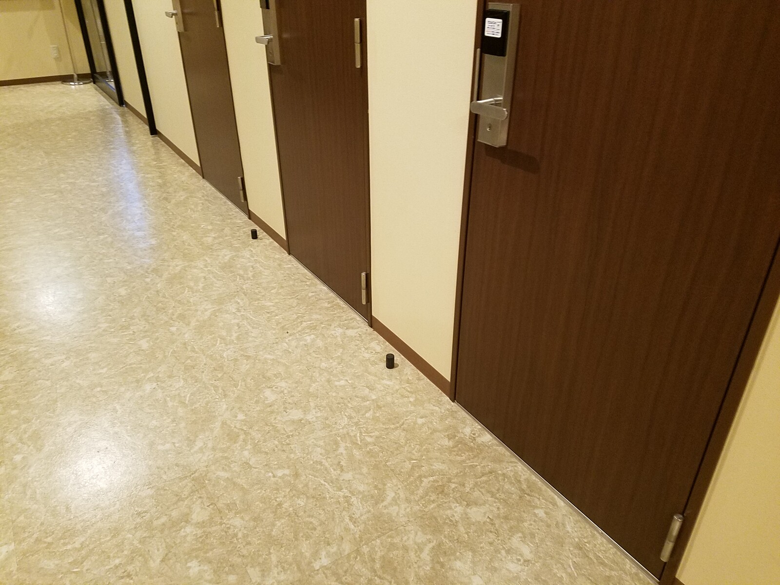 阪神鳴尾浜球場移転で尼崎市に阪神タイガースが帰って来る期待感 いわき駅ビルの喪失感 初の鍵付き個室のお得じゃない感 です トラさんの純真