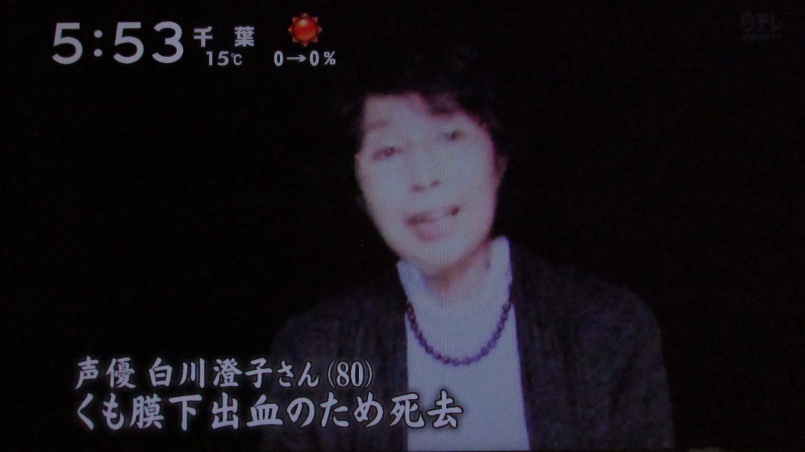 堀北さん サザエさん 中島の声は北川景子様が継いだらいいのに トラさんの純真 堀北さん サザエさん 中島の声は北川景子様が継いだらいいのに トラさんの純真