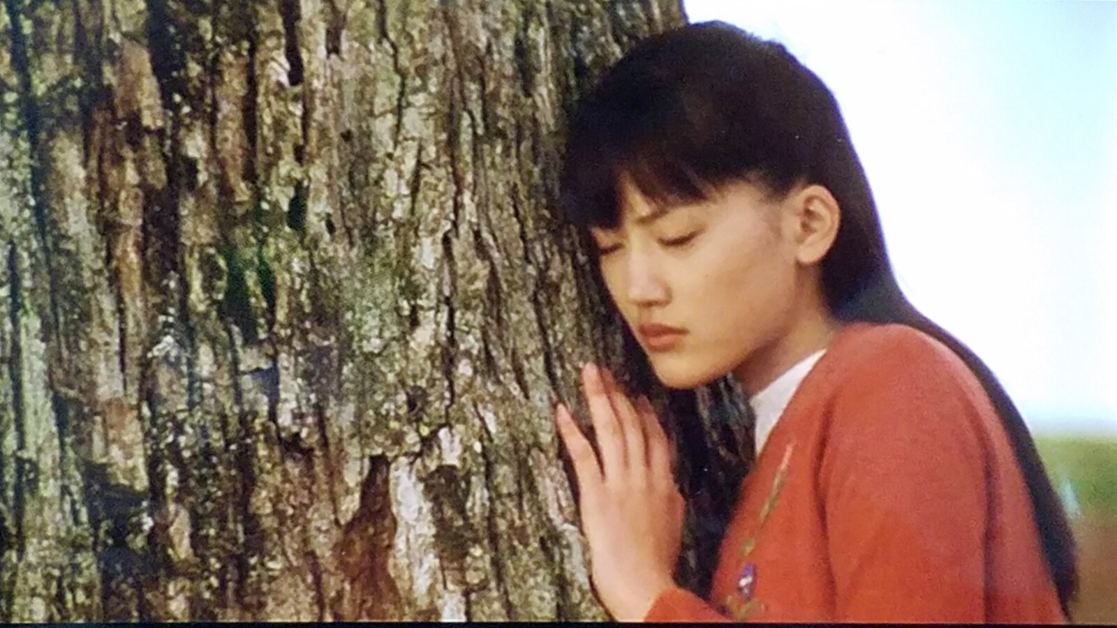 ホリプロリレー綾瀬はるか 深田恭子にフラームの先輩戸田恵梨香に寄せた 有村架純です トラさんの純真 ホリプロリレー綾瀬はるか 深田恭子にフラームの先輩戸田恵梨香に寄せた 有村架純です トラさんの純真