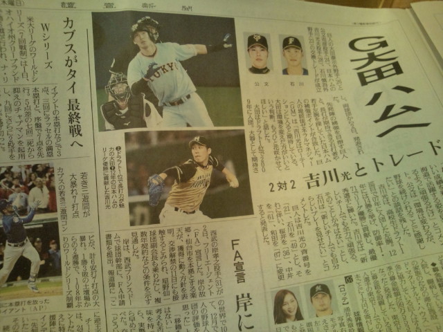 堀北さん くたばれ読売だけどくたばるな大田泰示です トラさんの純真