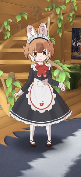 RDRomBv