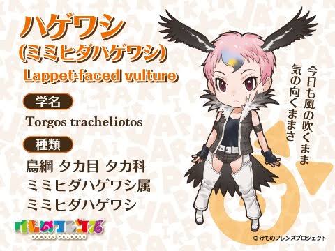 けもフレ3 ハゲワシのフレンズってどんな感じなのだ たいちょーさん速報 ーけもフレ3まとめ けもフレ3 ハゲワシのフレンズってどんな感じなのだ たいちょーさん速報 ーけもフレ3まとめ