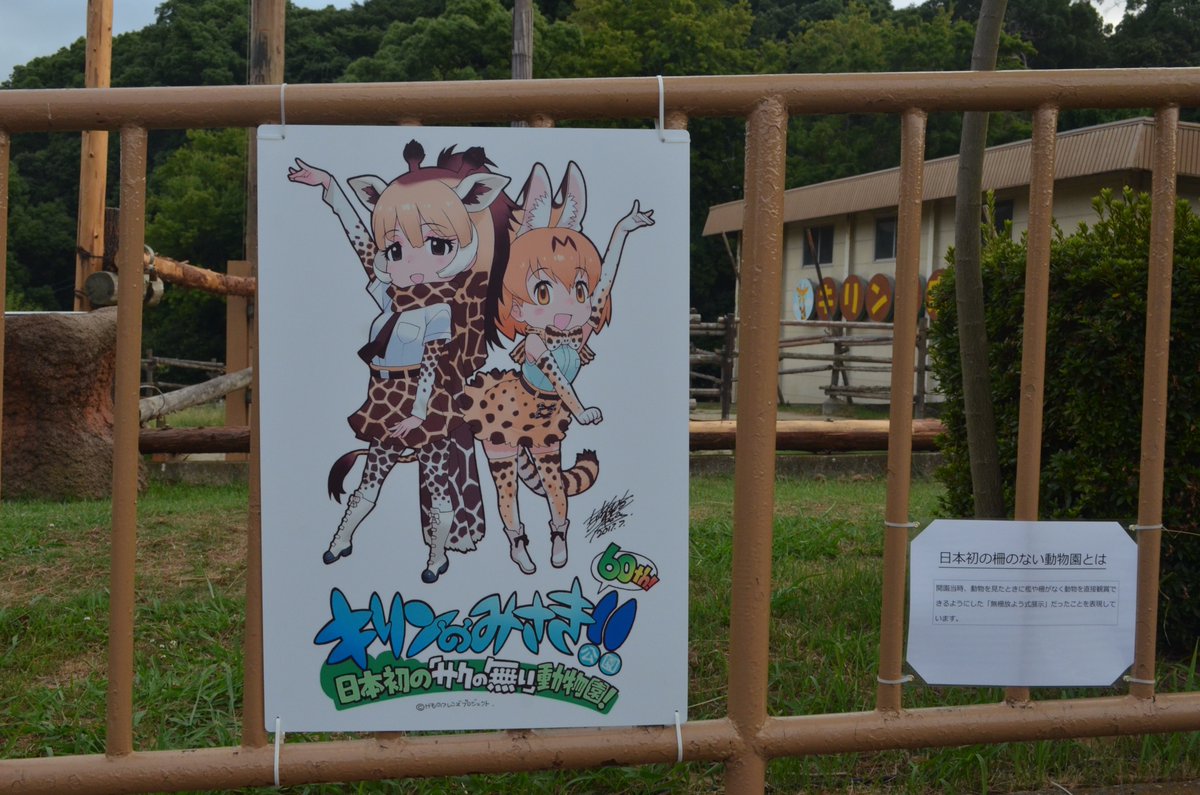 けものフレンズ みさきアミメキリンちゃんが可愛いすぎてアミメキリンおじさんになりそう けもフレみんパーク