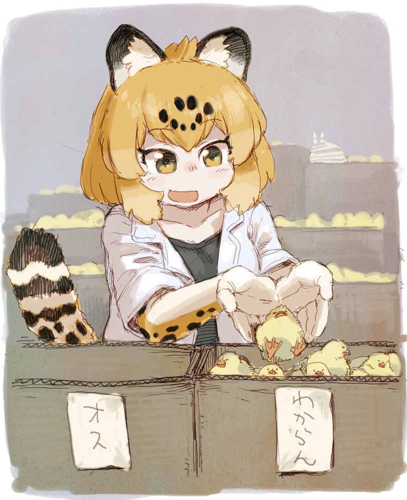 フレンズ けものフレンズ Com