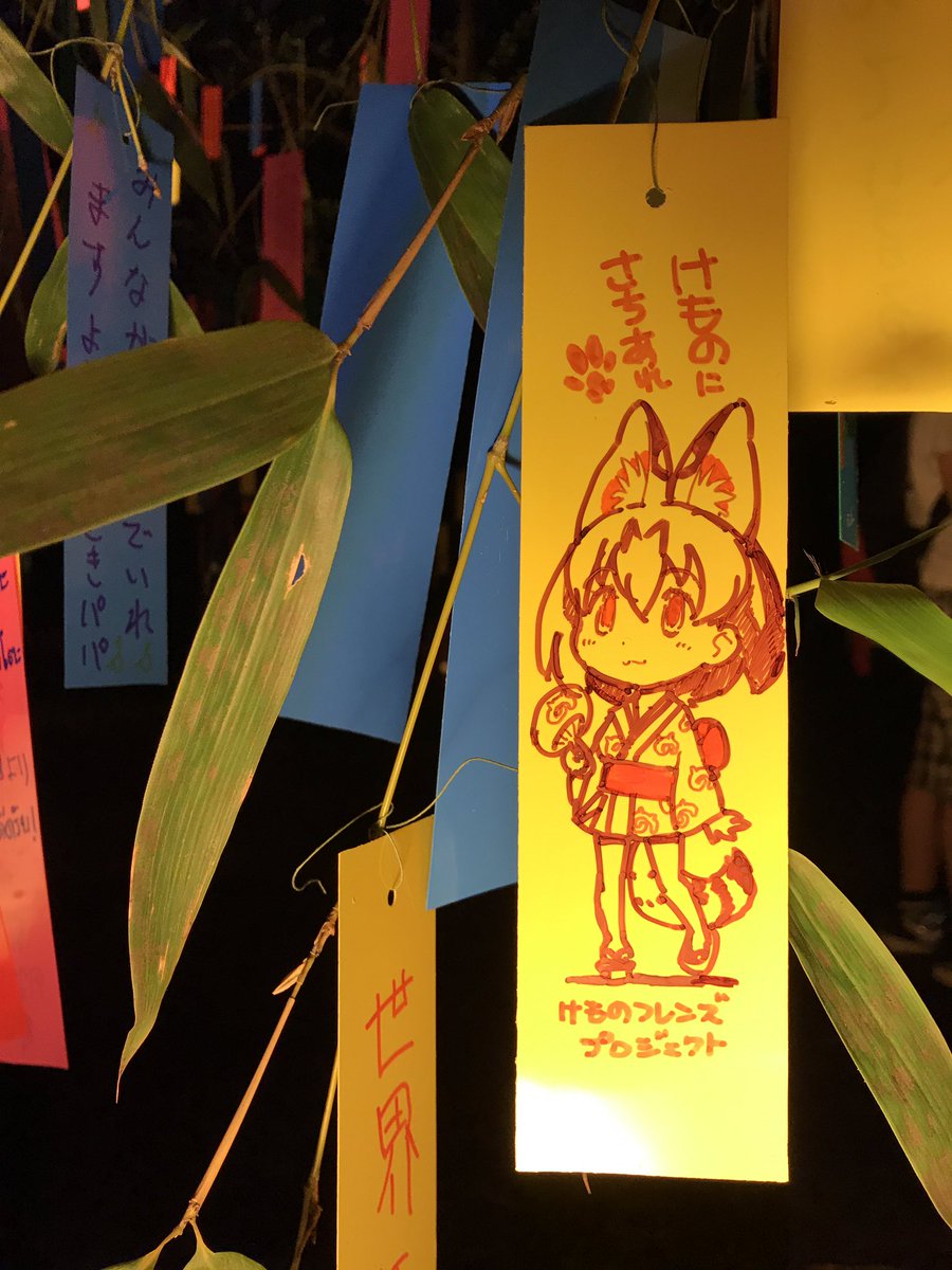 けものフレンズ 吉崎観音先生が短冊に 着物を着たサーバルちゃん を描く けものフレンズ Com けものフレンズ 吉崎観音先生が短冊に 着物を着たサーバルちゃん を描く けものフレンズ Com