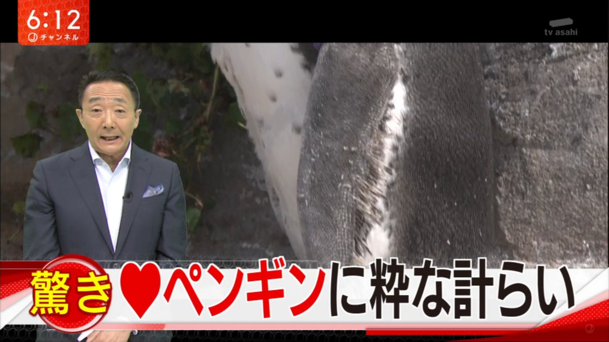 けものフレンズ 東武動物公園の フルルパネル展示継続 がテレビ朝日にて放送 グレープくんも登場したぞ けものフレンズ Com