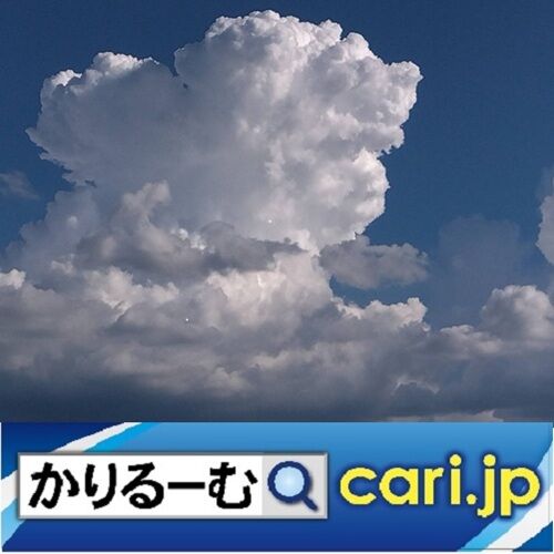 2025-1sky20250130w500x500