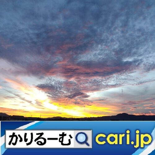 2025-3sky20250130w500x500