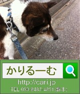 9f886a30.jpg