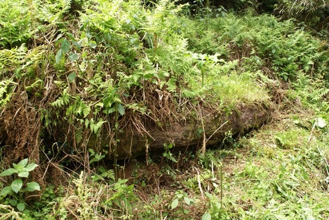 鳥取県南部町金山の巻