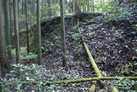 舟場ヒヤ谷たたらの調査