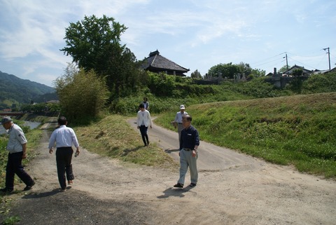 DSC07033