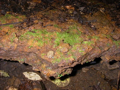 IMGP2580
