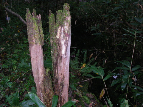 IMGP2573