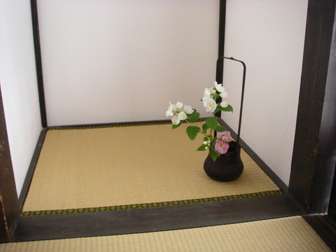 バイカウツギの花