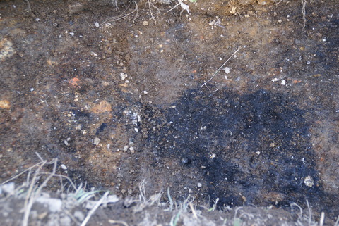 カーボンベッドDSC07106