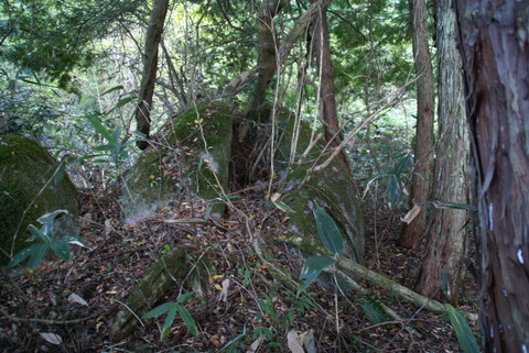DSC05377