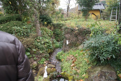 suiro2