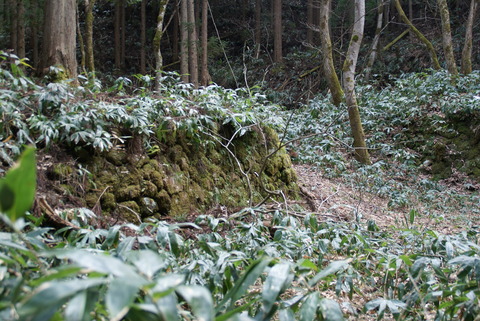 都合山の保全作業