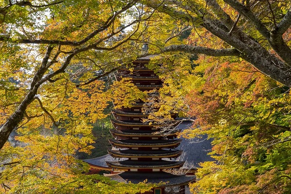 _DSC6419-j-blog