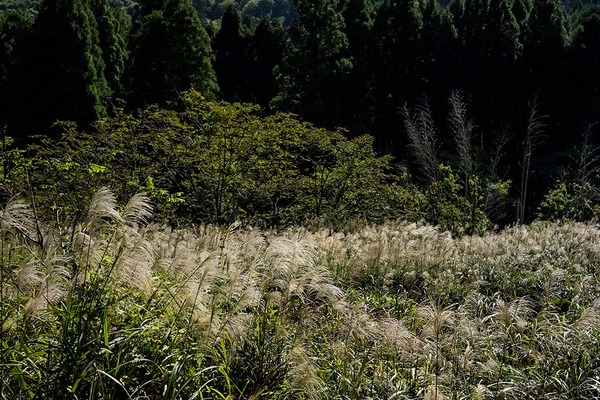 _DSC5963-j-blog