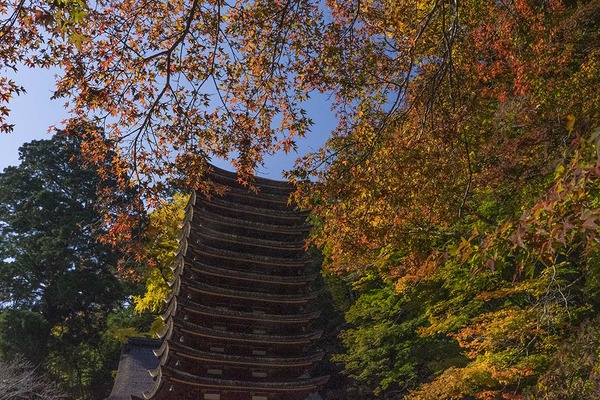 _DSC6409-j-blog