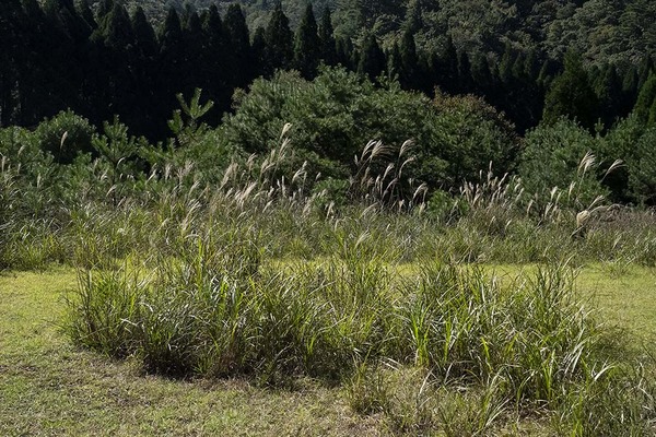 _DSC5991-j-blog