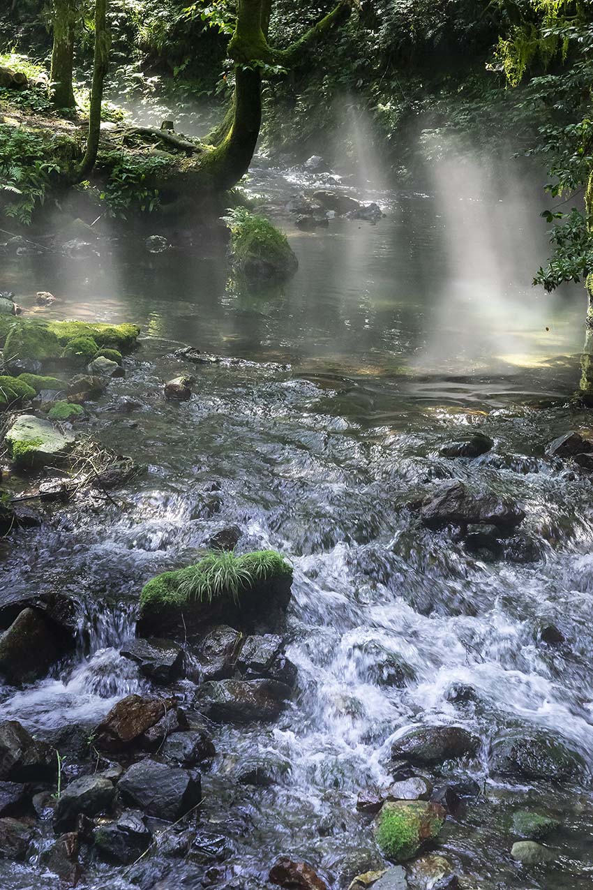 自然は美しい : 暑さしのぎに湖東へ - 醒ヶ井渓谷