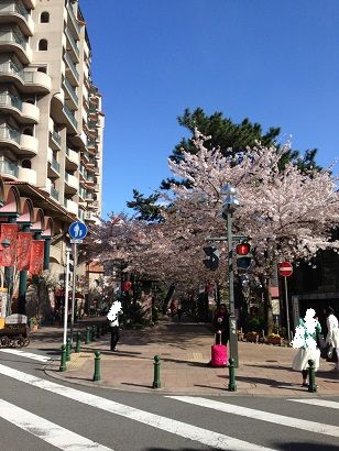 宝塚歌劇１００周年夢の祭典 時を奏でるスミレの花たち 感想ブログ ぺんぺん草