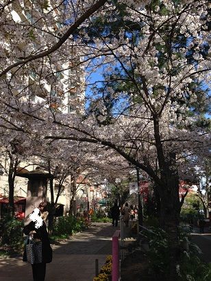 宝塚歌劇１００周年夢の祭典 時を奏でるスミレの花たち 感想ブログ ぺんぺん草