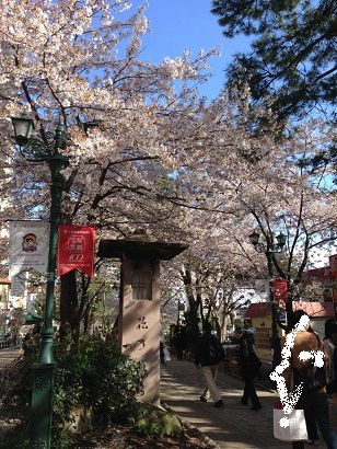 宝塚歌劇１００周年夢の祭典 時を奏でるスミレの花たち 感想ブログ ぺんぺん草