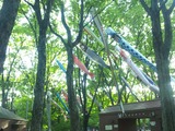 120505_171034