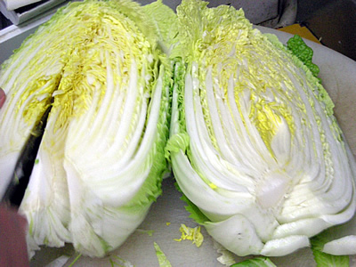 白菜入荷(淡路島)20080213