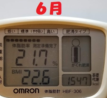 体脂肪率6月