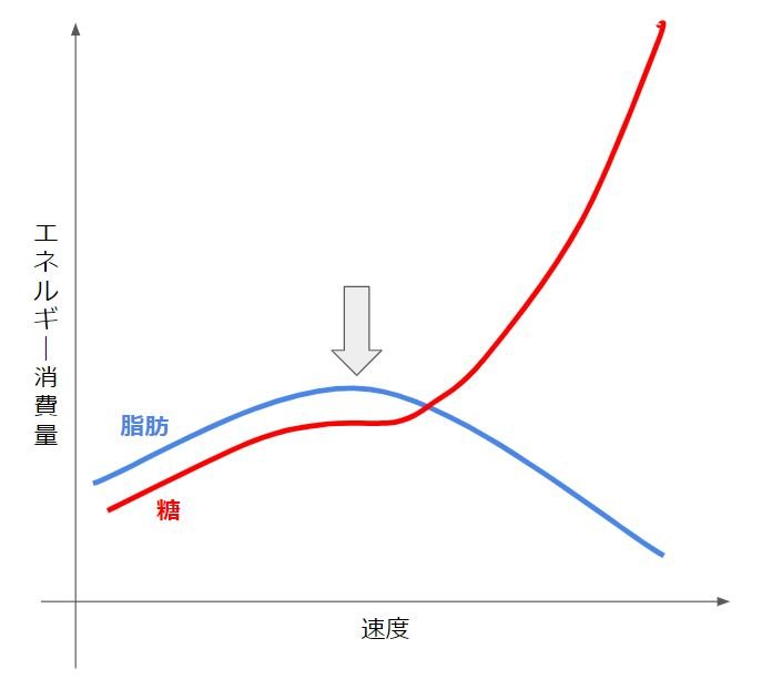 ランニング速度と脂肪と糖のエネルギー消費量