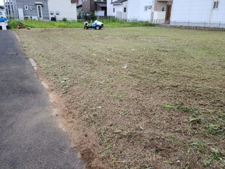 image1 (8)