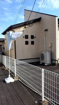 image1 (6)