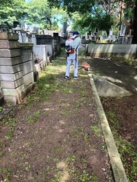 image6