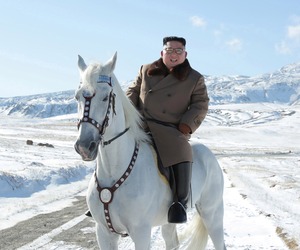 kjuhorse