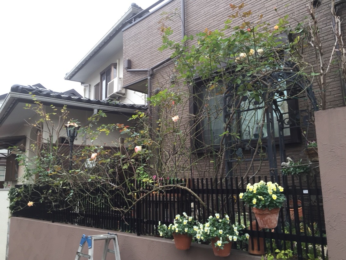 ミナ吉のお花屋さん 15年12月24日