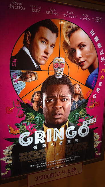 20-039 gringo 1