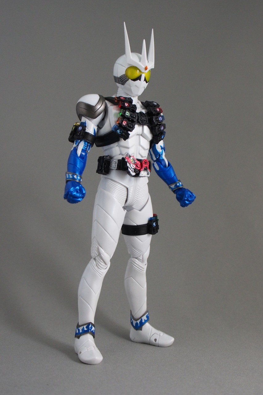 S.H.Figuarts（真骨彫製法） 仮面ライダーエターナル : 不玩全