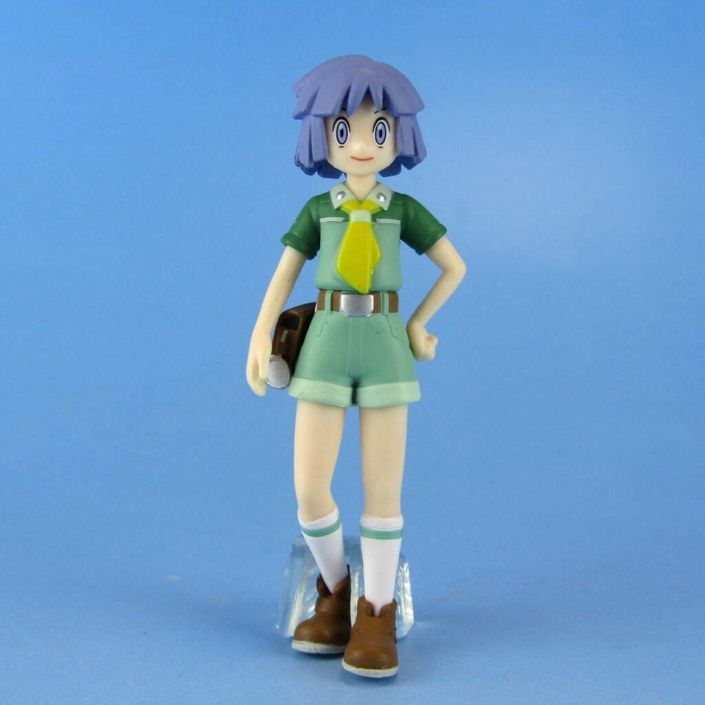 ポケモンスケールワールド ジョウト地方 ツクシ&ハッサム : 不玩