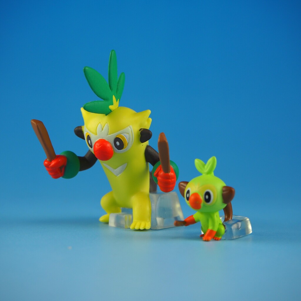 ポケモンスケールワールド ガラル地方 セット : 不玩全燃焼日誌