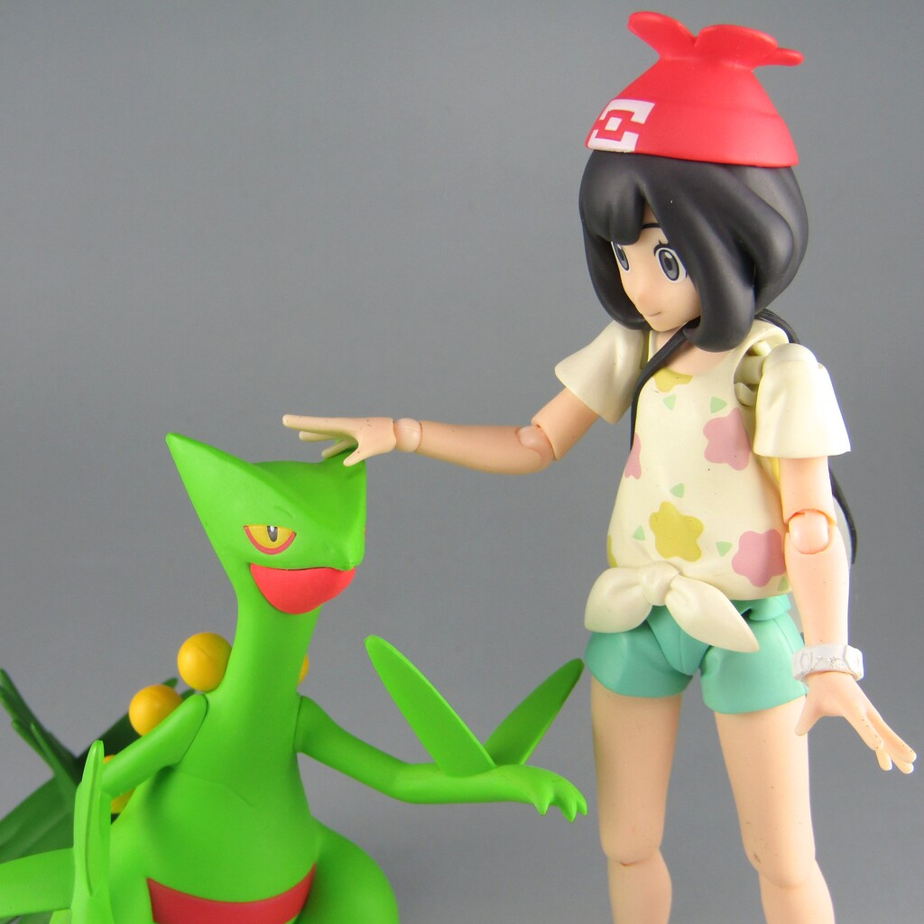 ポケモンスケールワールド ホウエン地方 ジュカイン 不玩全燃焼日誌 ポケモンスケールワールド ホウエン地方 ジュカイン 不玩全燃焼日誌