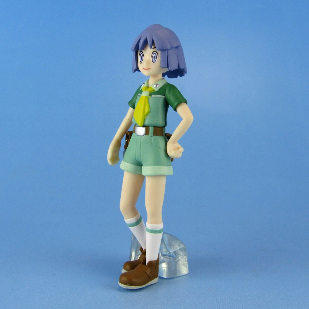 ポケモンスケールワールド ジョウト地方 ツクシ&ハッサム : 不玩