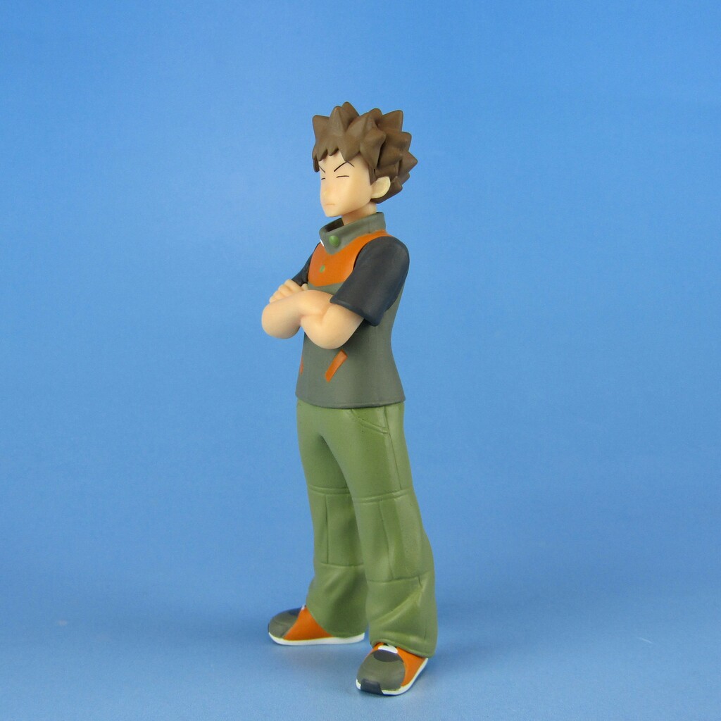 ポケモンスケールワールド タケシ&イワーク ポケモンスケールワールド