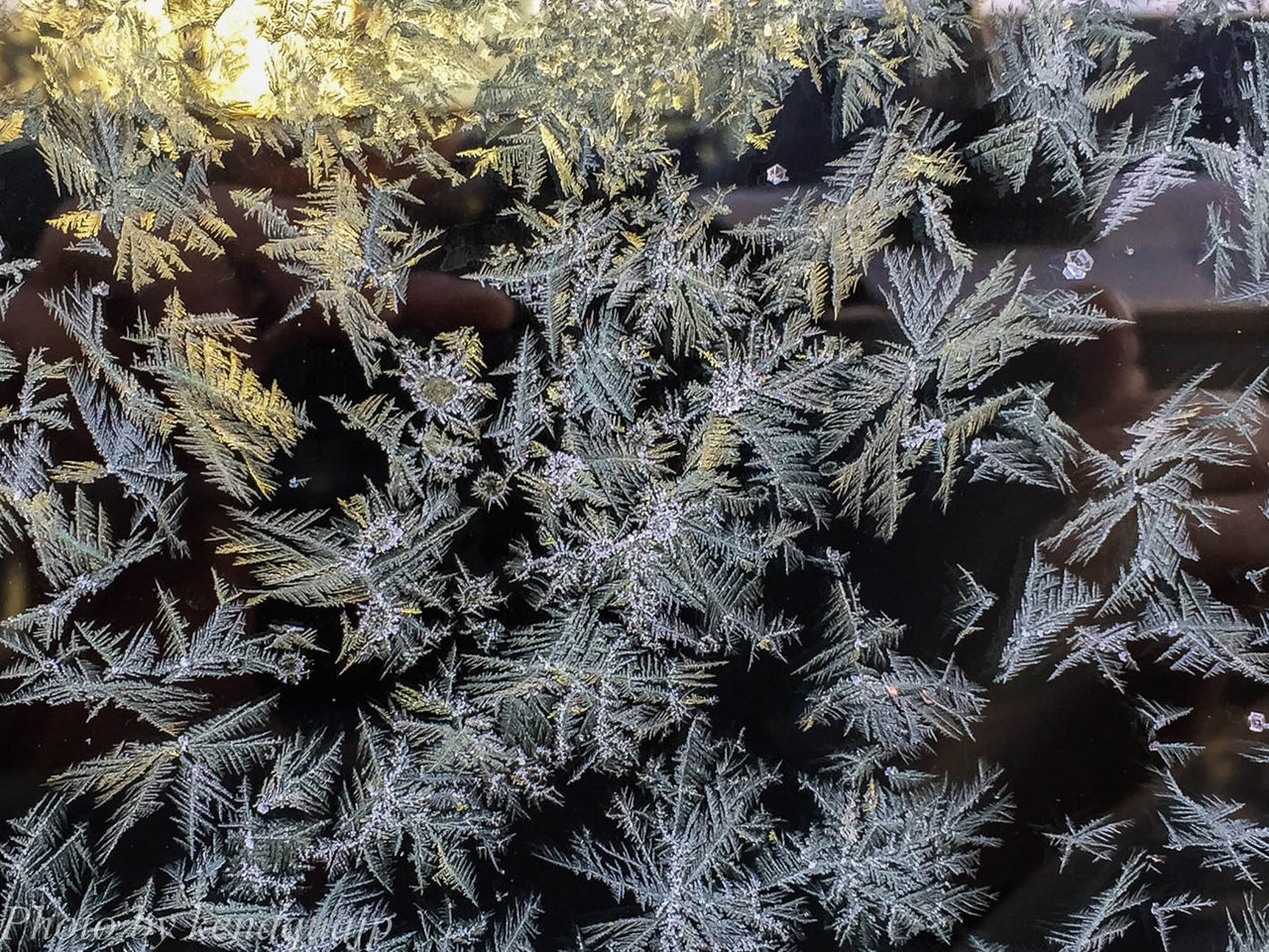 朝の氷の結晶 まとめ 北海道 道東を撮る 朝の氷の結晶 まとめ 北海道 道東を撮る