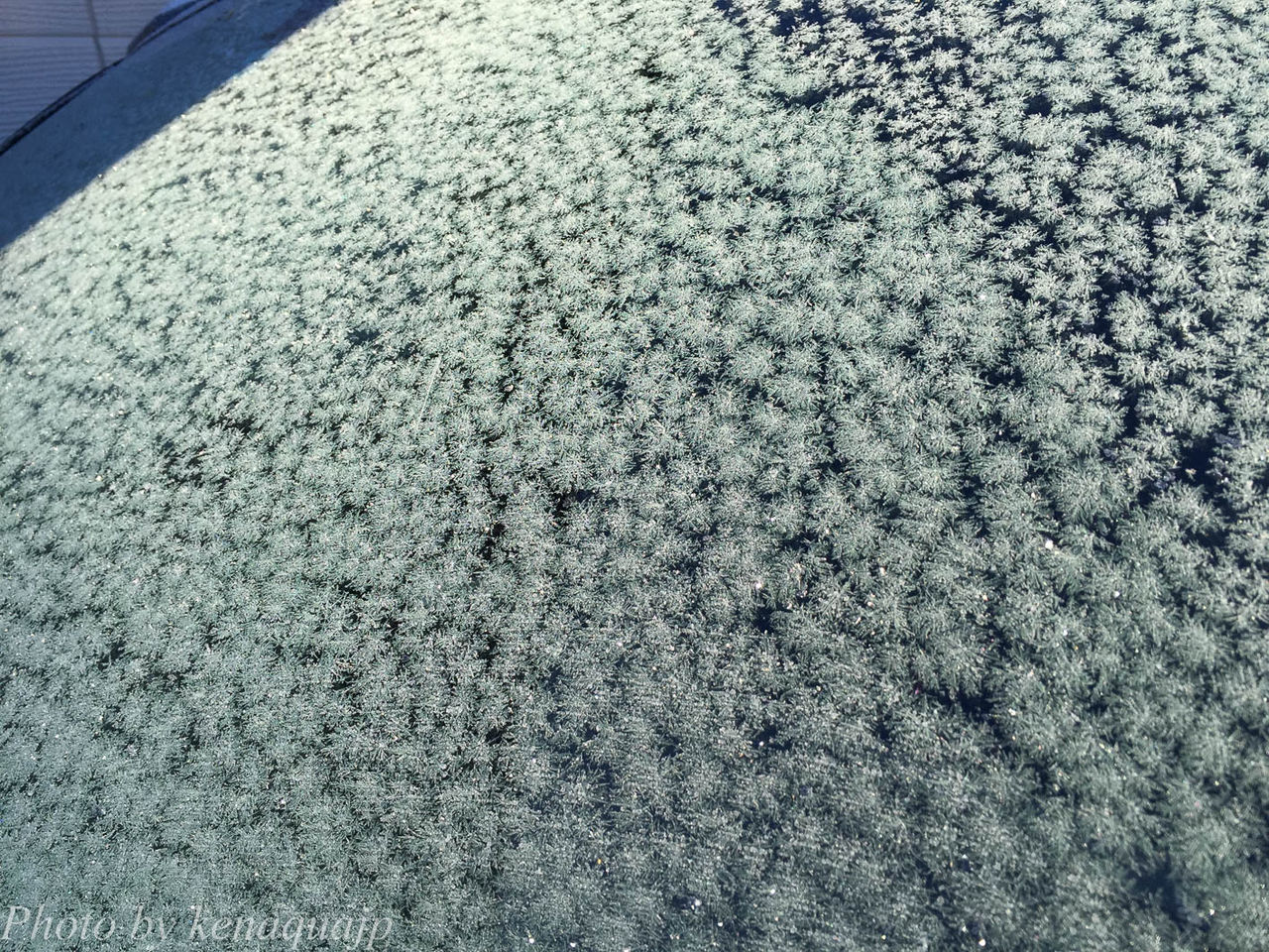 朝の氷の結晶 まとめ 北海道 道東を撮る 朝の氷の結晶 まとめ 北海道 道東を撮る
