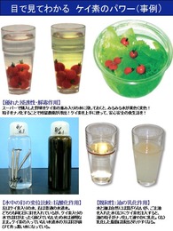 ケイ素について(情報あれこれ)